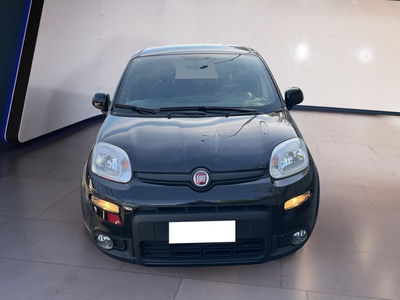 Fiat Panda 1.0 firefly hybrid s&amp;s 70cv 5p.ti del 2021 usata a Torino