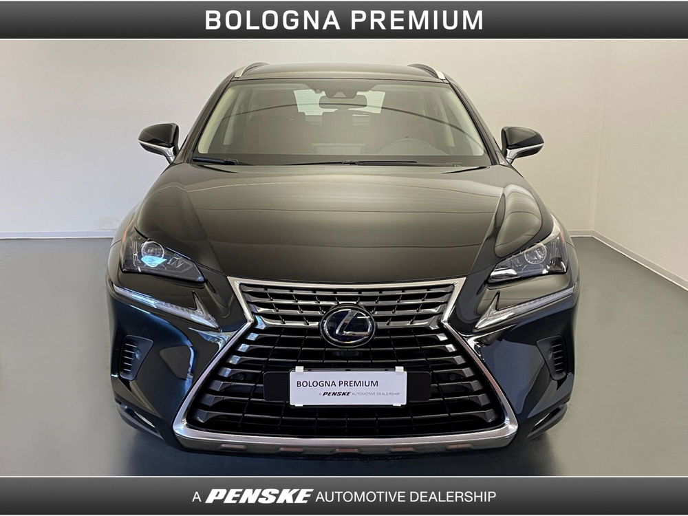 Lexus NX usata a Bologna (8)