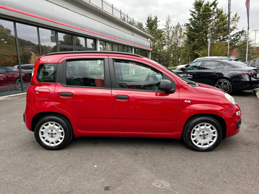 Fiat Panda usata a Ancona (4)