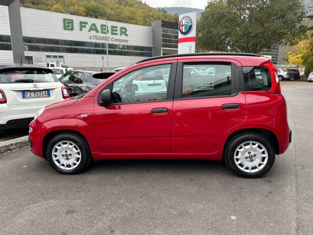 Fiat Panda usata a Ancona (8)