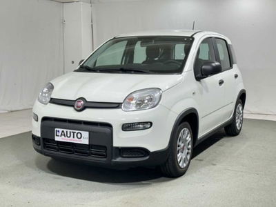 Fiat Panda 1.0 firefly hybrid s&amp;s 70cv 5p.ti nuova a Caspoggio