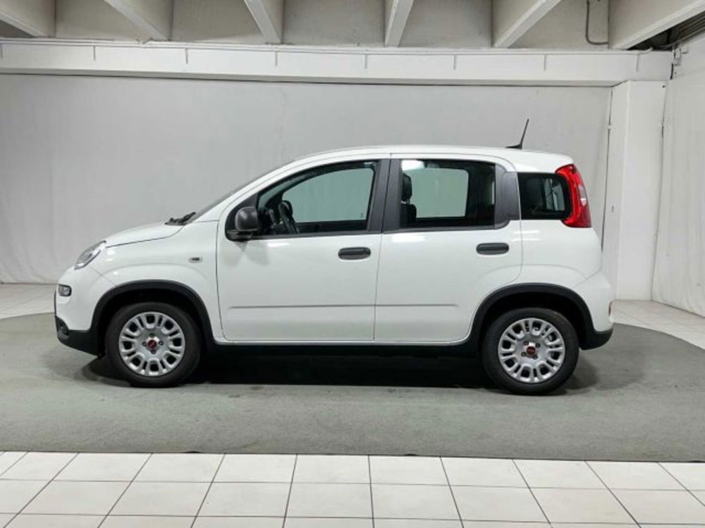 Fiat Panda nuova a Sondrio (2)