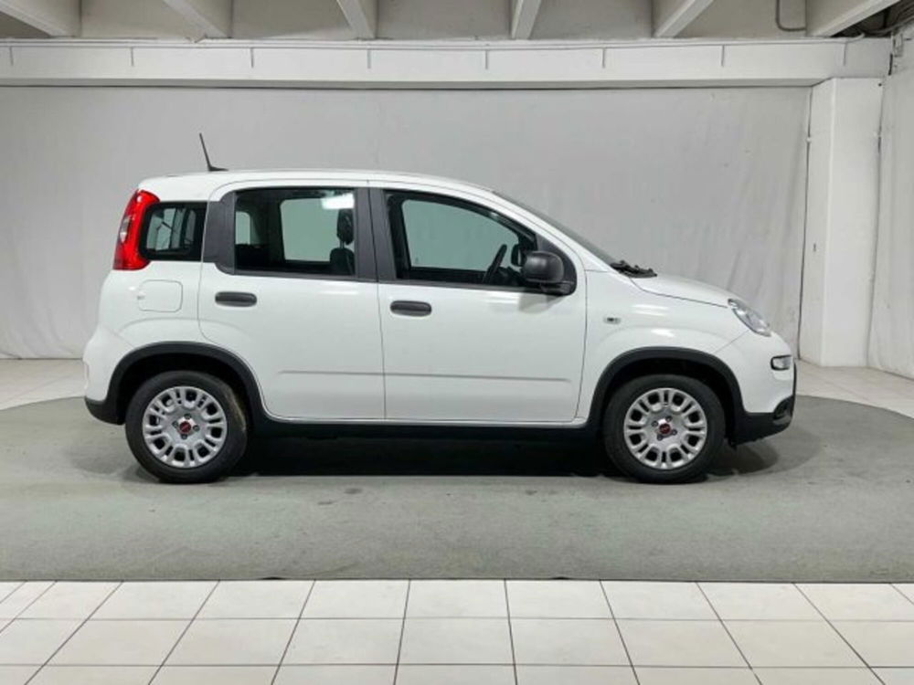 Fiat Panda nuova a Sondrio (6)