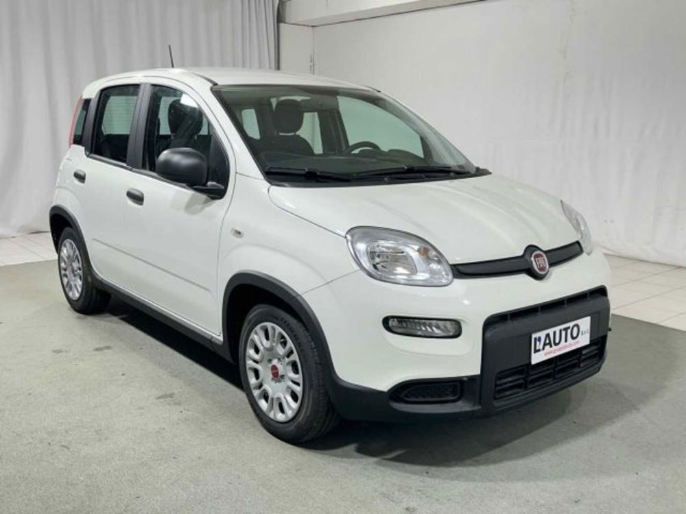 Fiat Panda nuova a Sondrio (7)