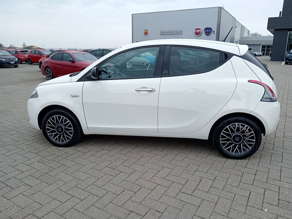 Lancia Ypsilon usata a Alessandria (9)