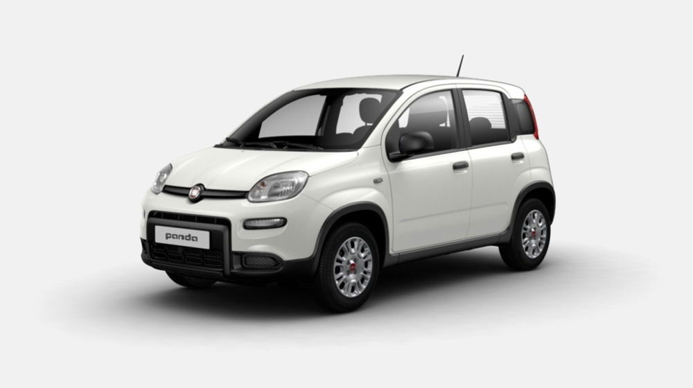 Fiat Panda usata a Siena