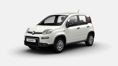 Fiat Panda 1.0 firefly hybrid s&amp;s 70cv 5p.ti del 2024 usata a Sinalunga