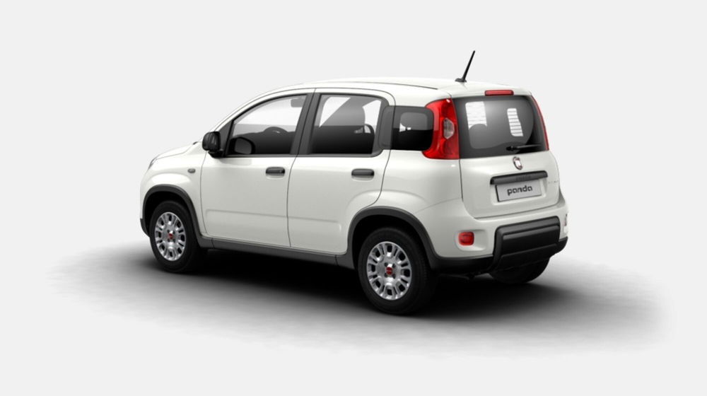 Fiat Panda usata a Siena (2)