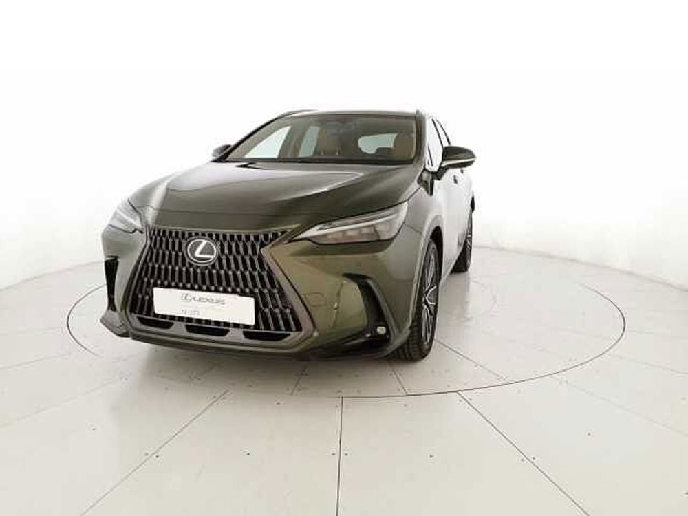 Lexus NX usata a Chieti