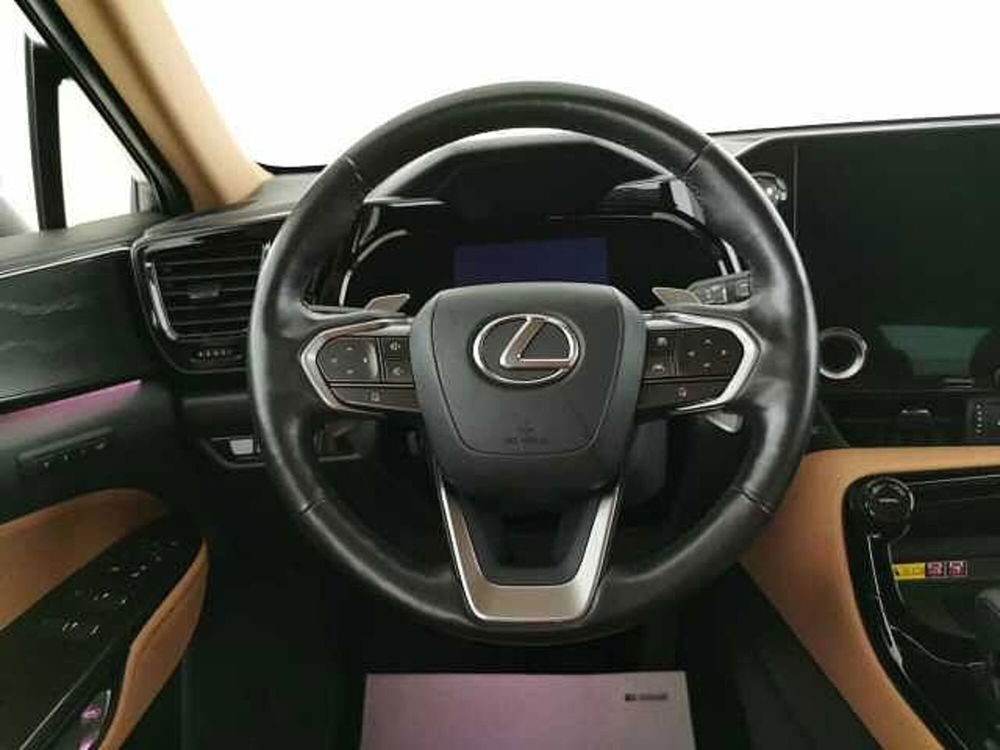 Lexus NX usata a Chieti (10)