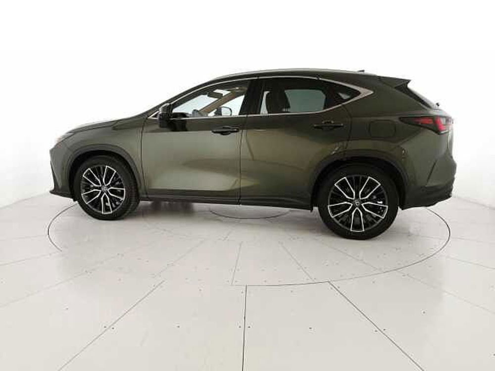 Lexus NX usata a Chieti (2)