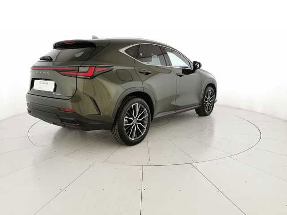 Lexus NX usata a Chieti (3)