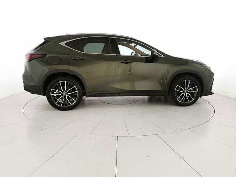 Lexus NX usata a Chieti (4)