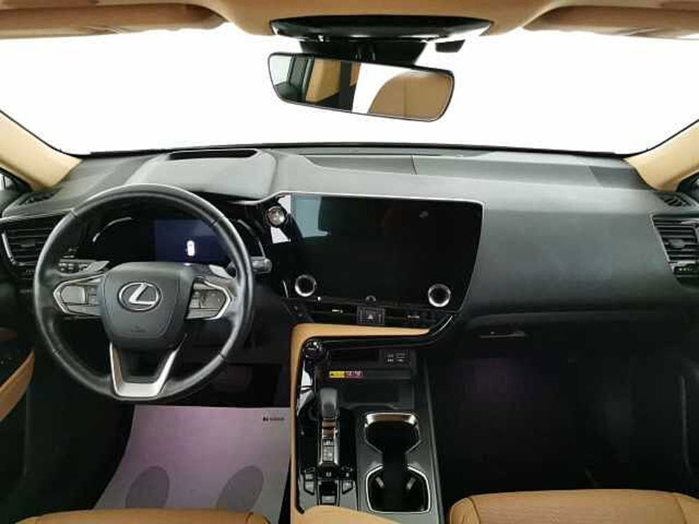 Lexus NX usata a Chieti (9)