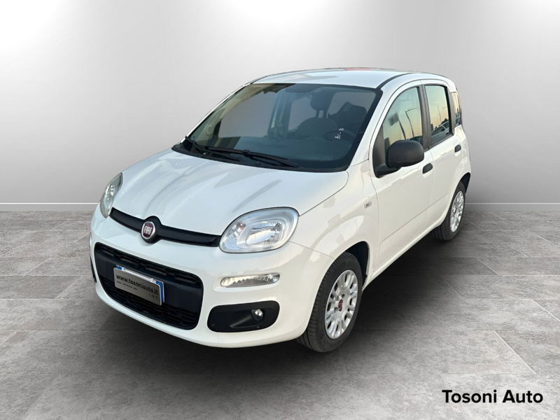 Fiat Panda 1.2 Easy  del 2020 usata a Sarteano