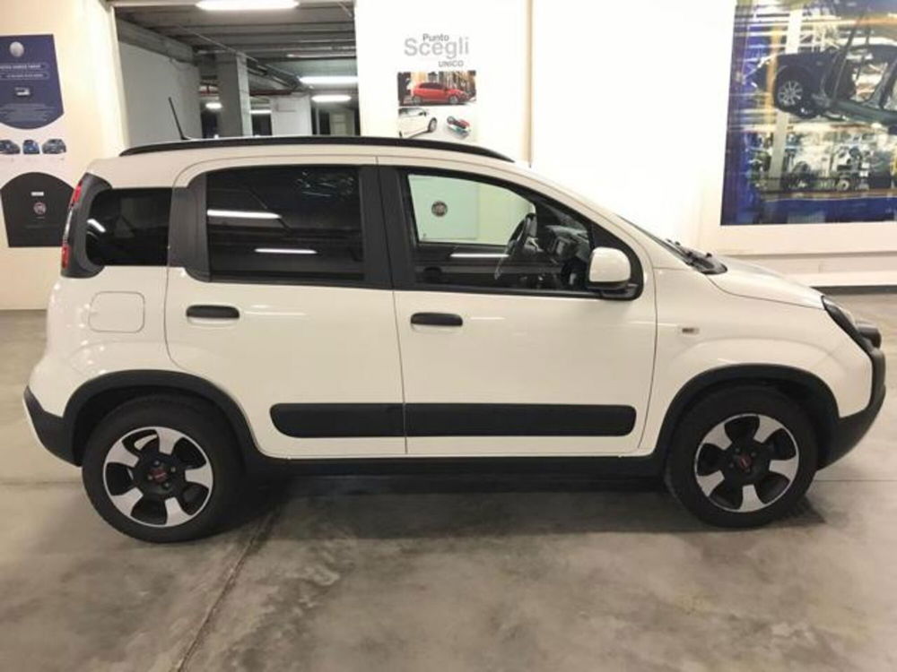 Fiat Panda Cross usata a Cuneo (7)