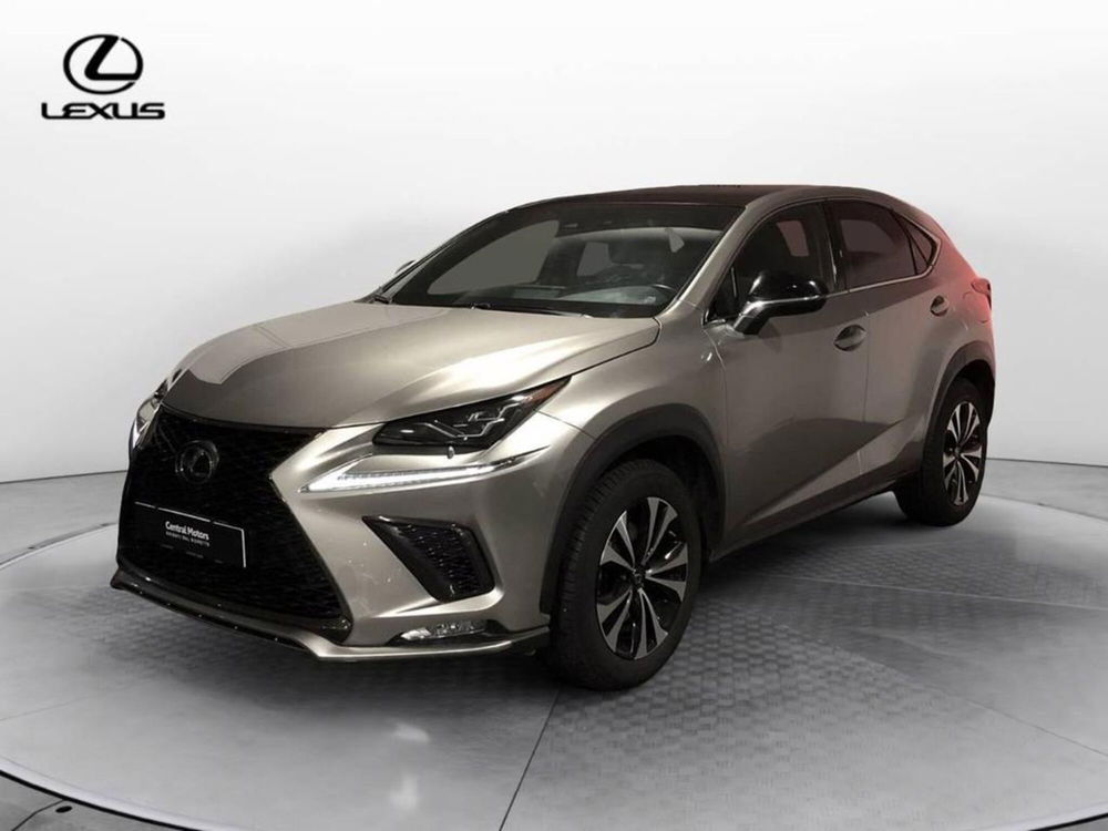 Lexus NX usata a Torino