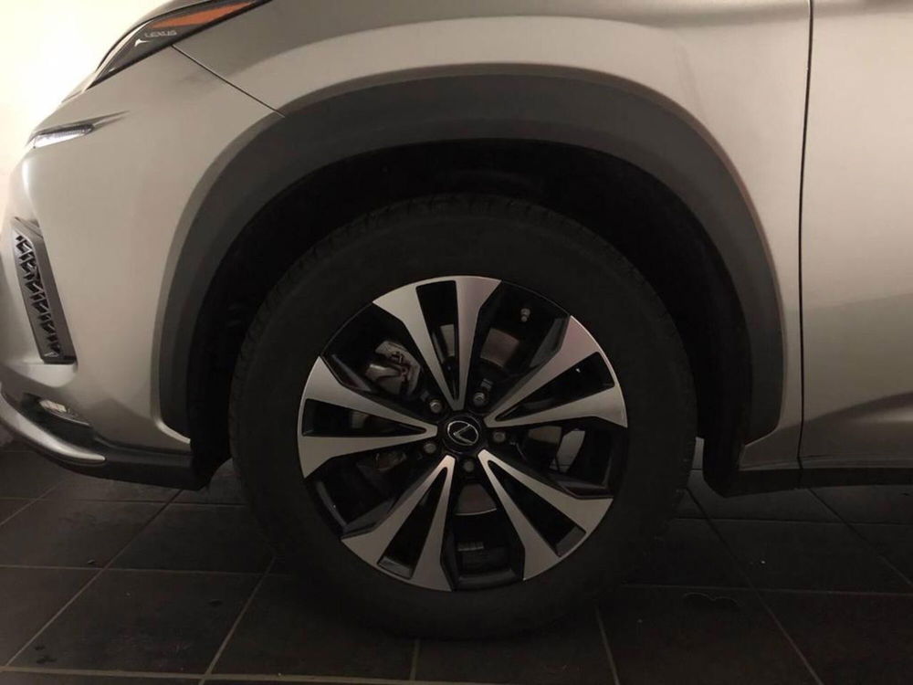 Lexus NX usata a Torino (14)