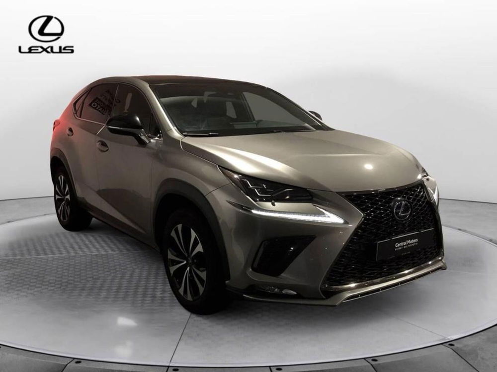 Lexus NX usata a Torino (3)