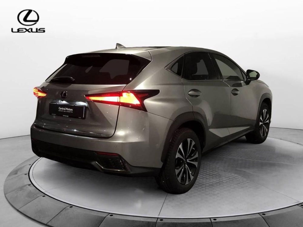 Lexus NX usata a Torino (4)