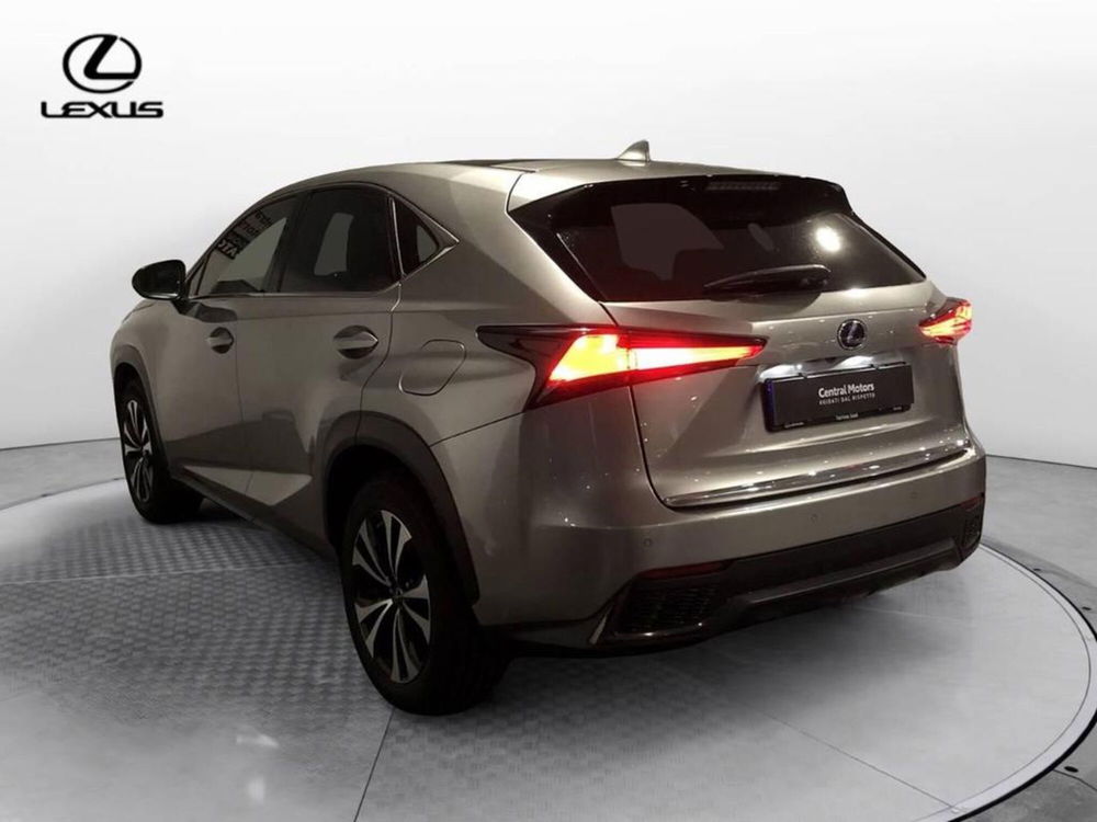 Lexus NX usata a Torino (5)