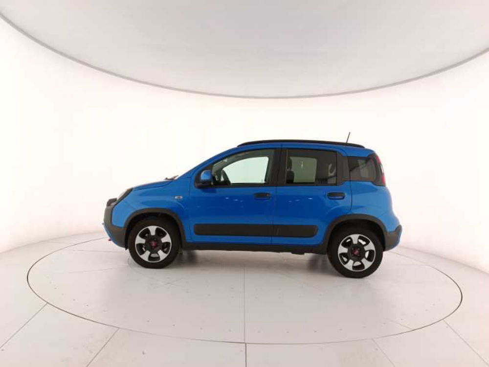 Fiat Panda Cross usata a Treviso (8)