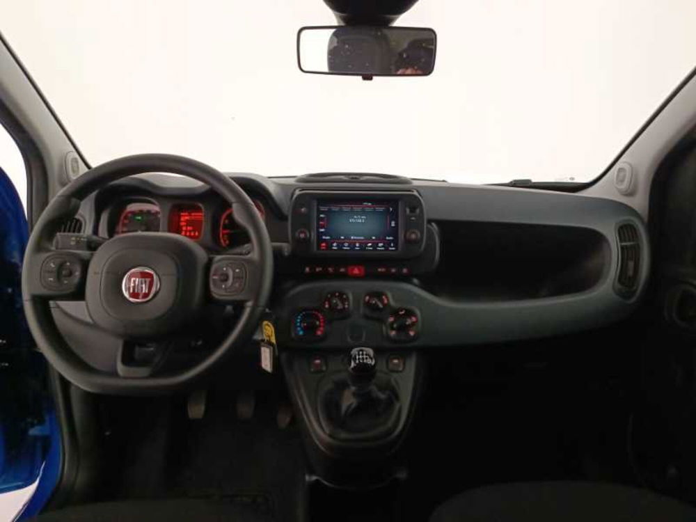 Fiat Panda Cross usata a Treviso (9)