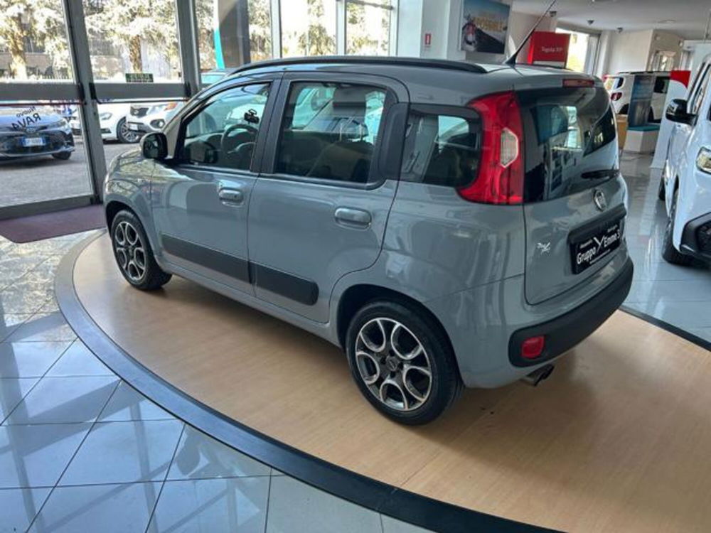 Fiat Panda usata a Alessandria (2)