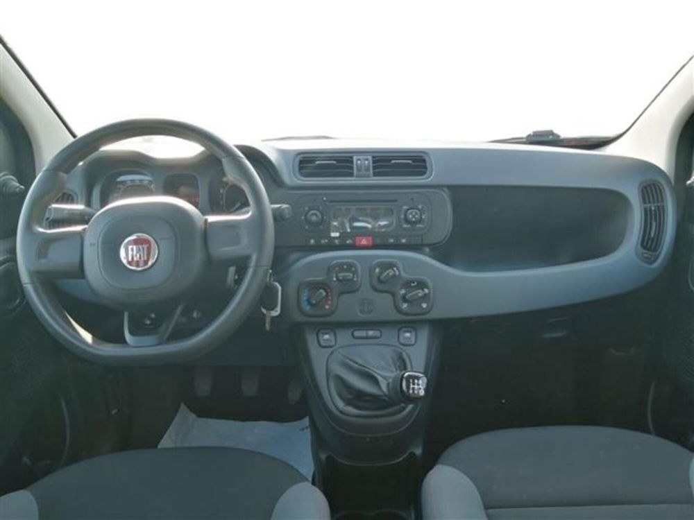 Fiat Panda usata a Livorno (10)