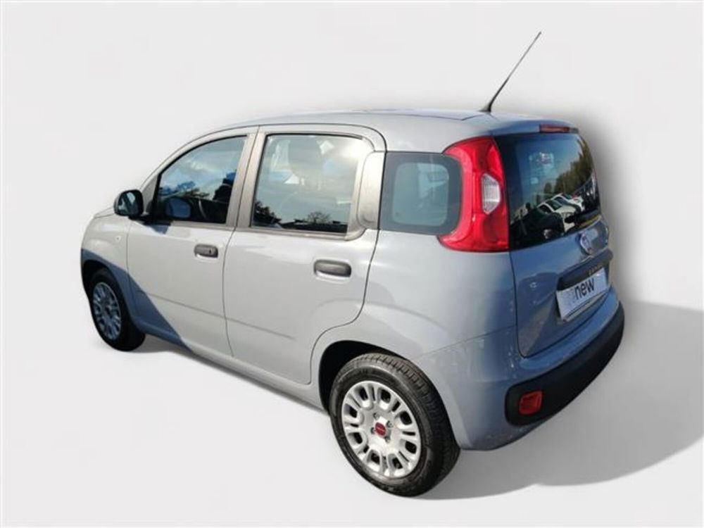 Fiat Panda usata a Livorno (3)