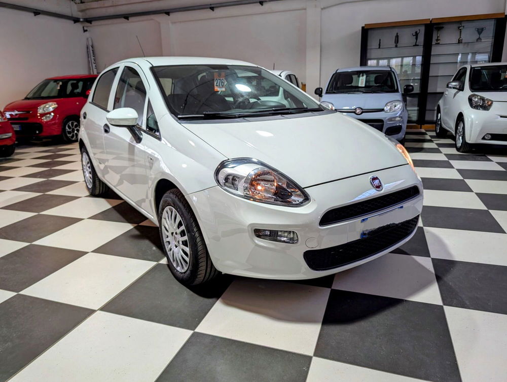 Fiat Punto usata a Arezzo