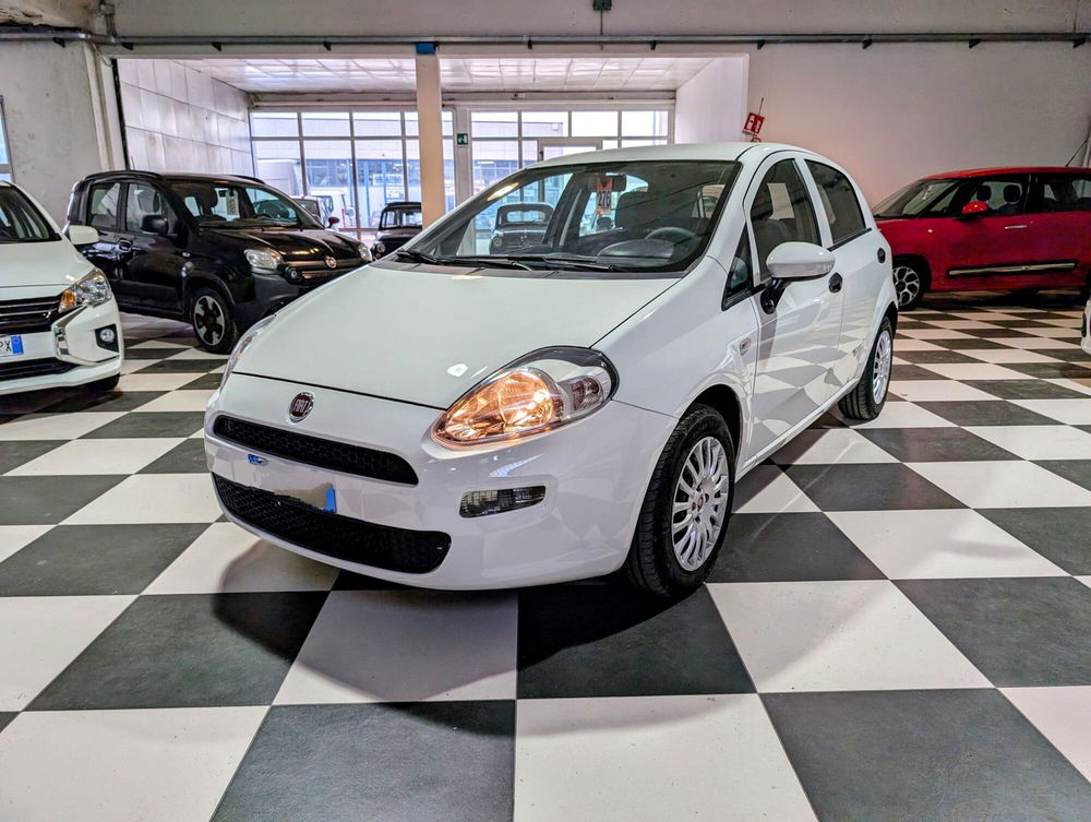 Fiat Punto usata a Arezzo (4)