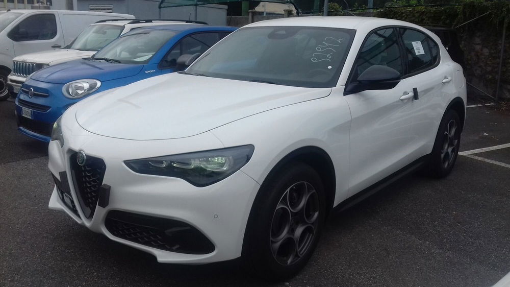 Alfa Romeo Stelvio nuova a Torino (2)