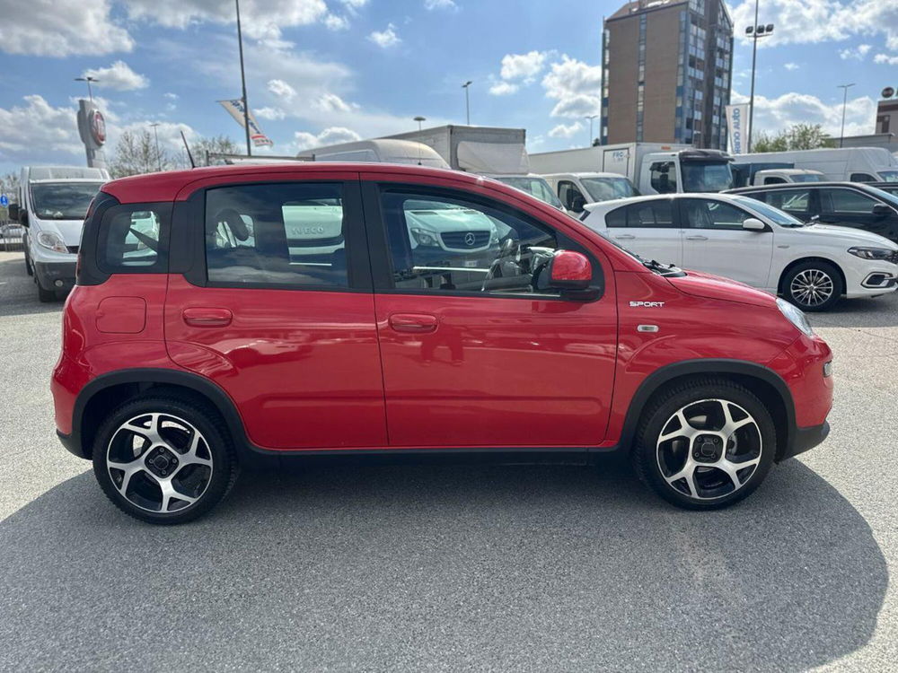 Fiat Panda Cross usata a Torino (8)