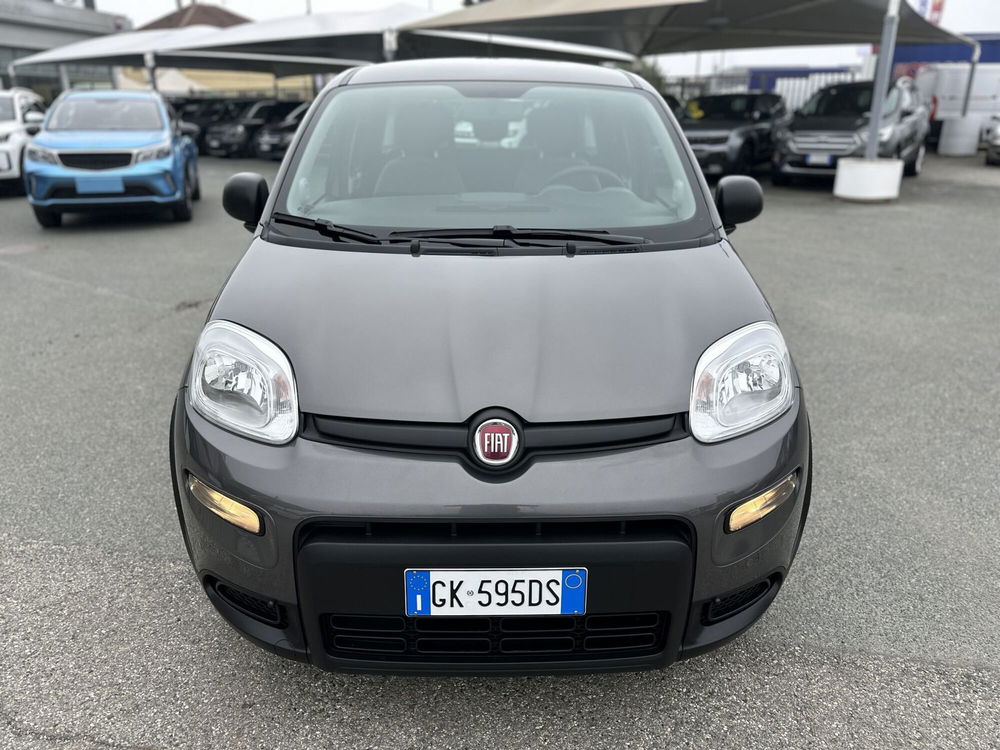 Fiat Panda usata a Torino (2)