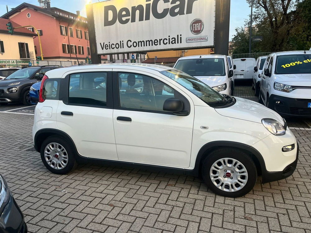 Fiat Panda Cross usata a Milano (5)