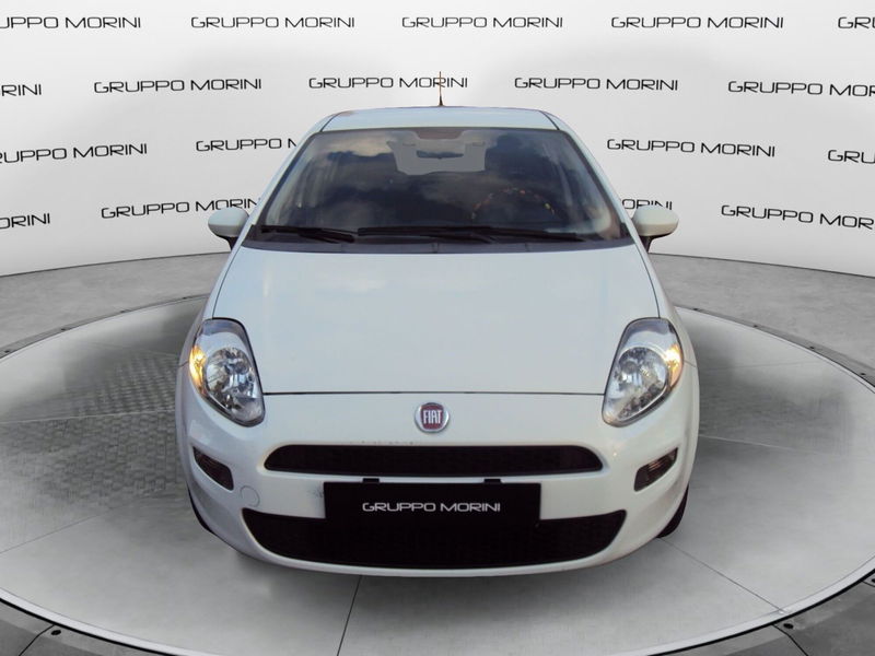 Fiat Punto 1.4 8V 5 porte Natural Power Lounge  del 2016 usata a Imola