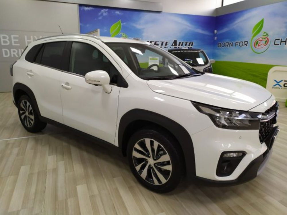 Suzuki S-Cross usata a Trieste (3)