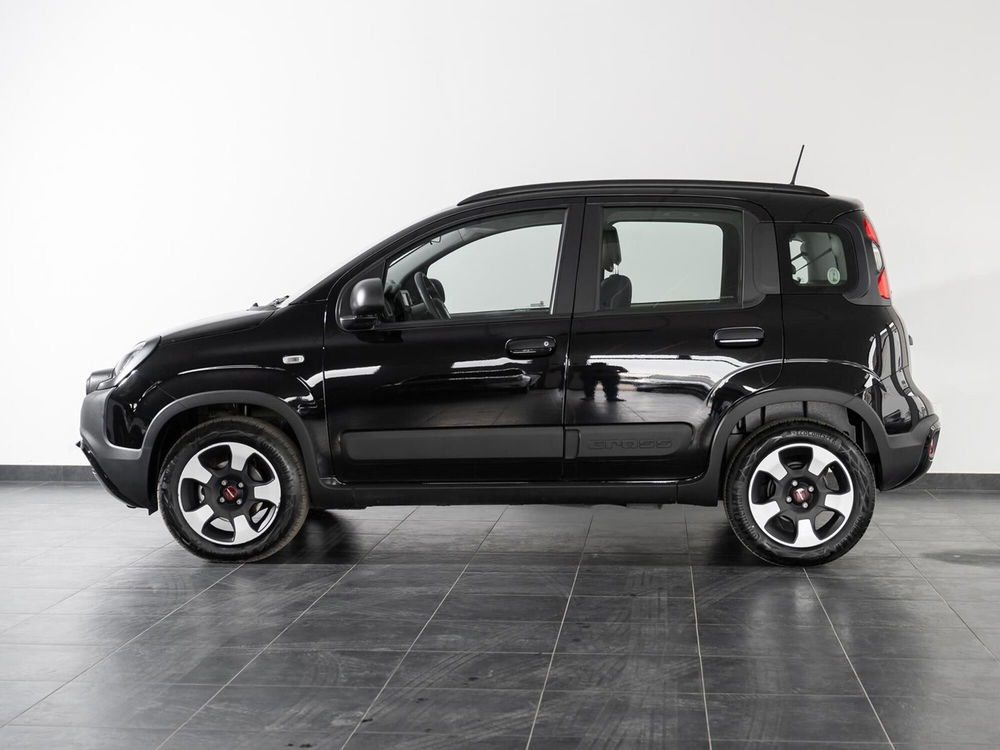 Fiat Panda Cross usata a Foggia (2)