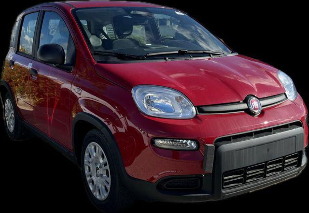 Fiat Panda nuova a Trapani