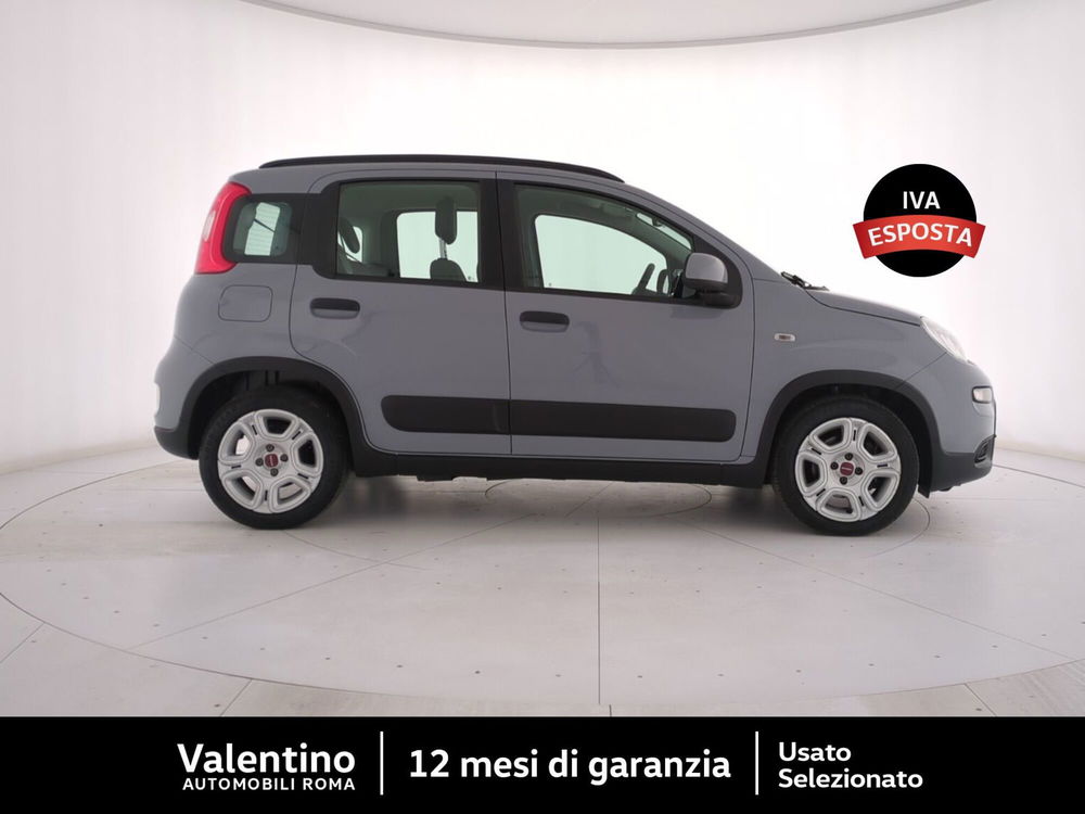 Fiat Panda usata a Roma (2)