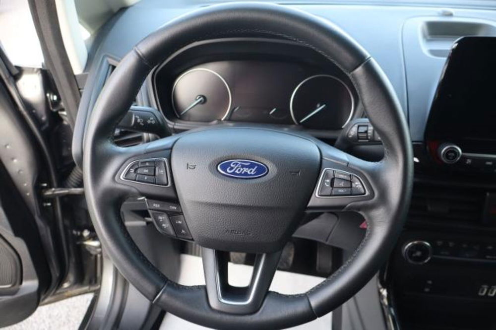 Ford EcoSport usata a Gorizia (14)