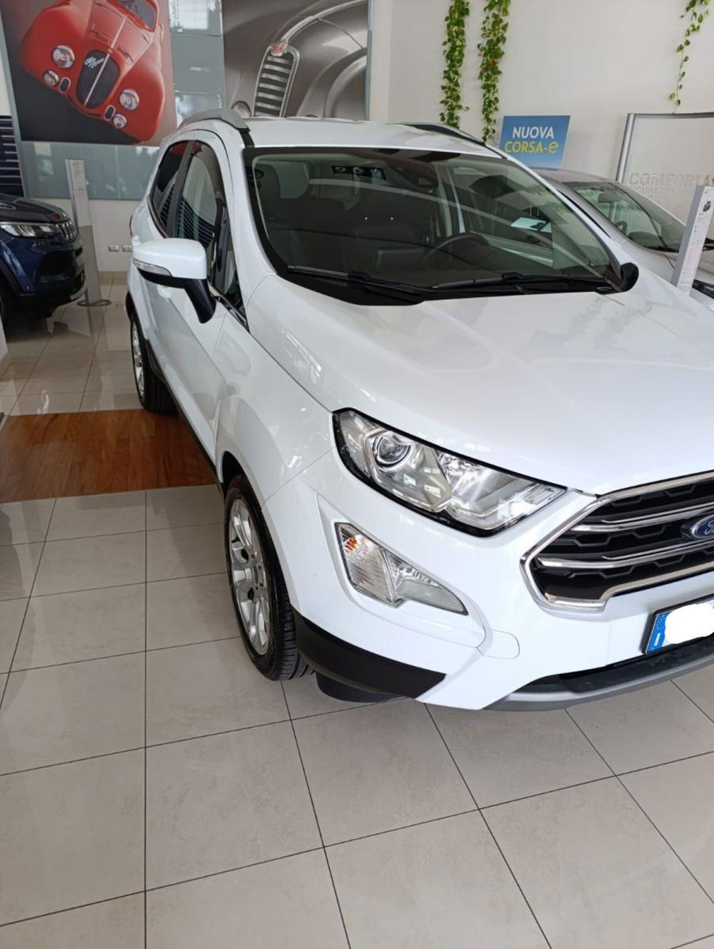 Ford EcoSport usata a Salerno (3)