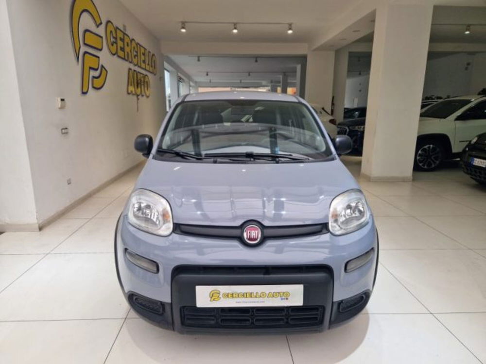 Fiat Panda usata a Napoli