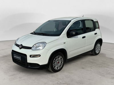 Fiat Panda Cross Cross 1.0 FireFly S&amp;S Hybrid  del 2023 usata a Bari