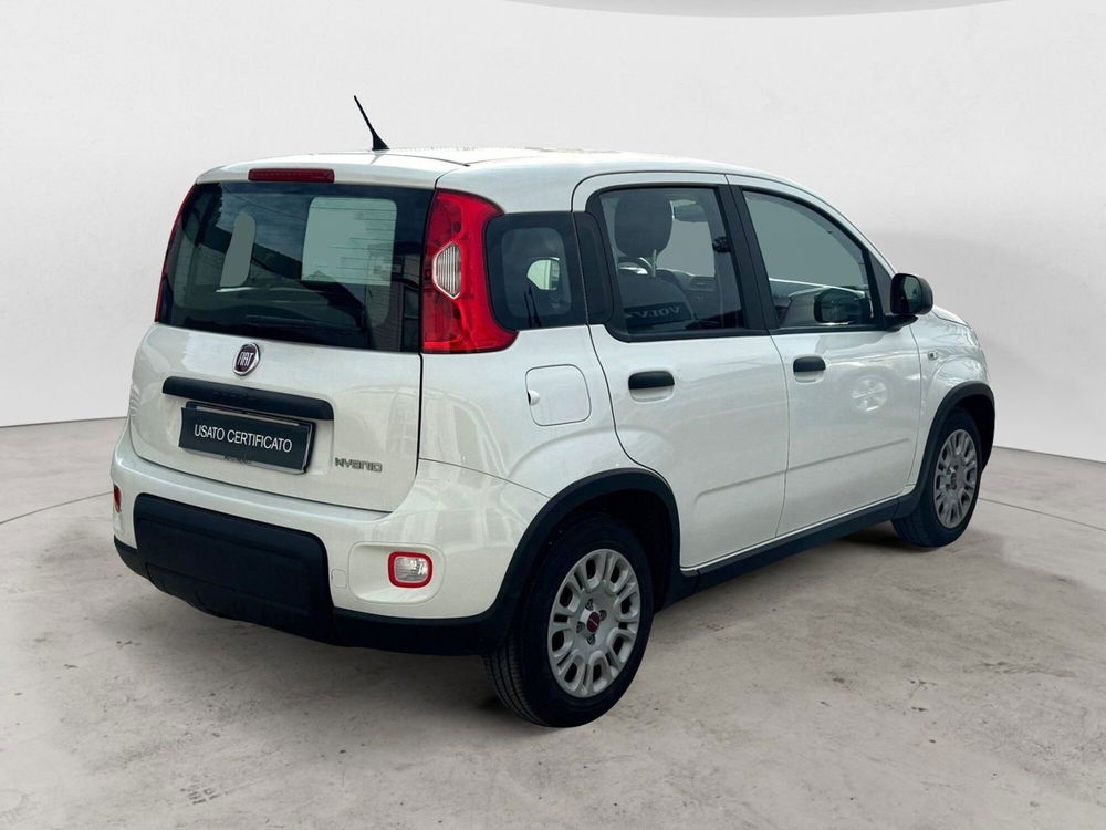 Fiat Panda Cross usata a Bari (2)