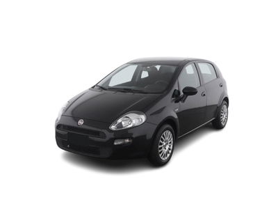 Fiat Punto 1.2 8V 5 porte Street  del 2016 usata a Bari