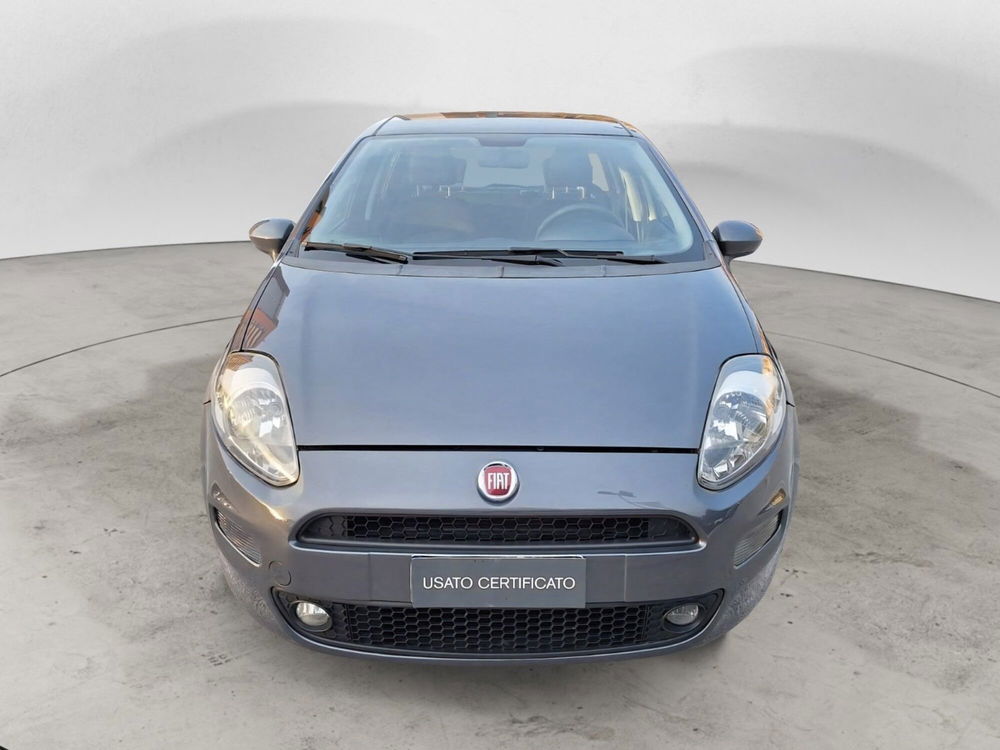 Fiat Punto usata a Bari (3)