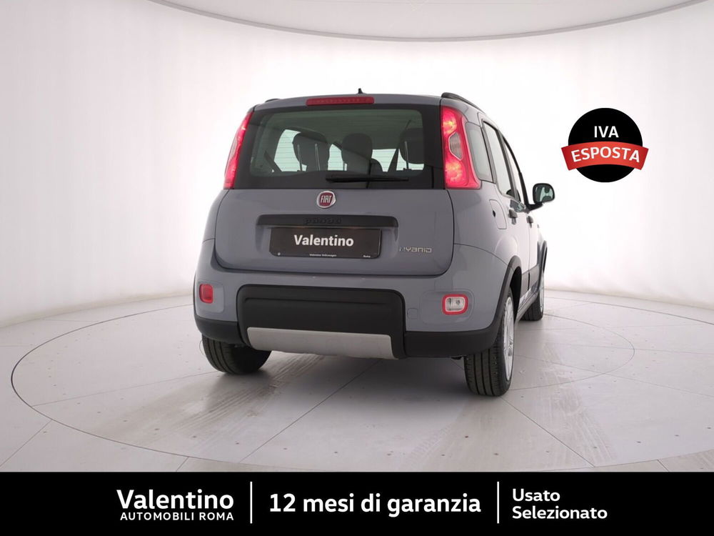 Fiat Panda usata a Roma (3)