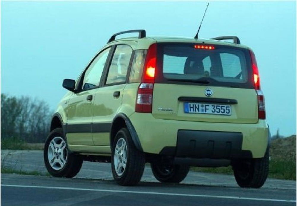 Fiat Panda usata a Cosenza (17)